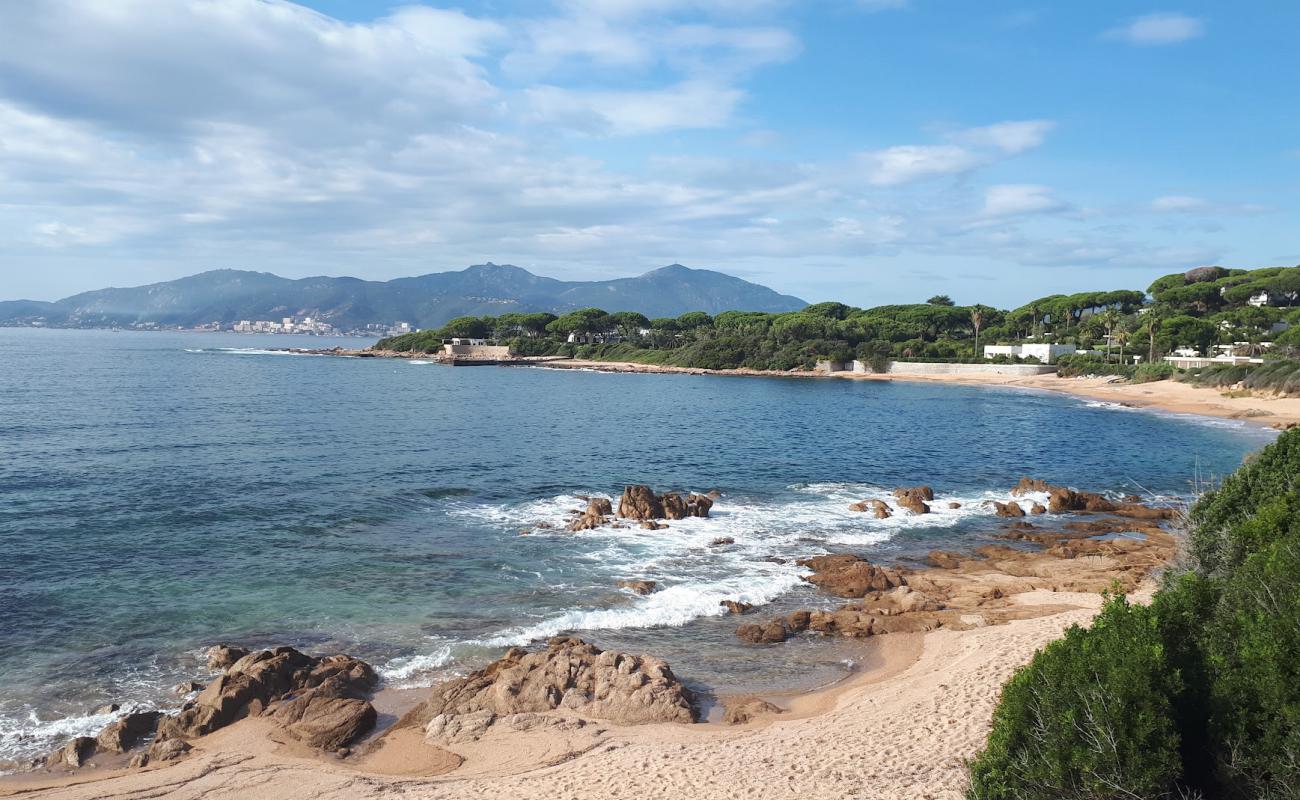 Photo de Crique Porticcio Beach avec sable lumineux de surface