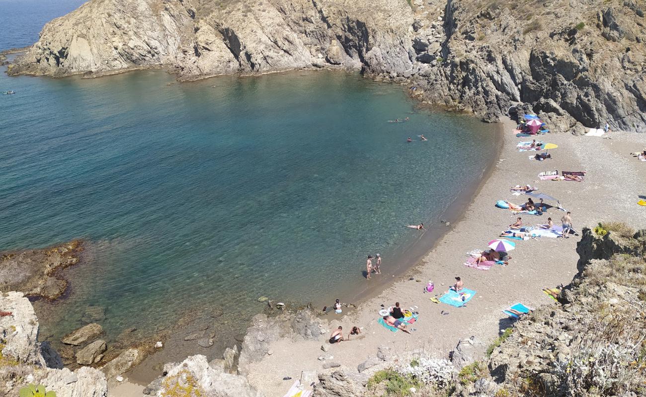 Photo de Troc Beach avec caillou fin gris de surface