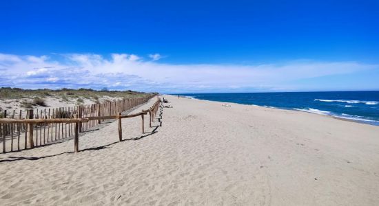 Sardinal Beach