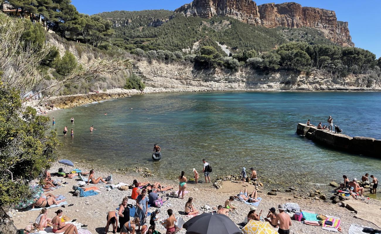 Photo de Corton Beach avec caillou gris de surface