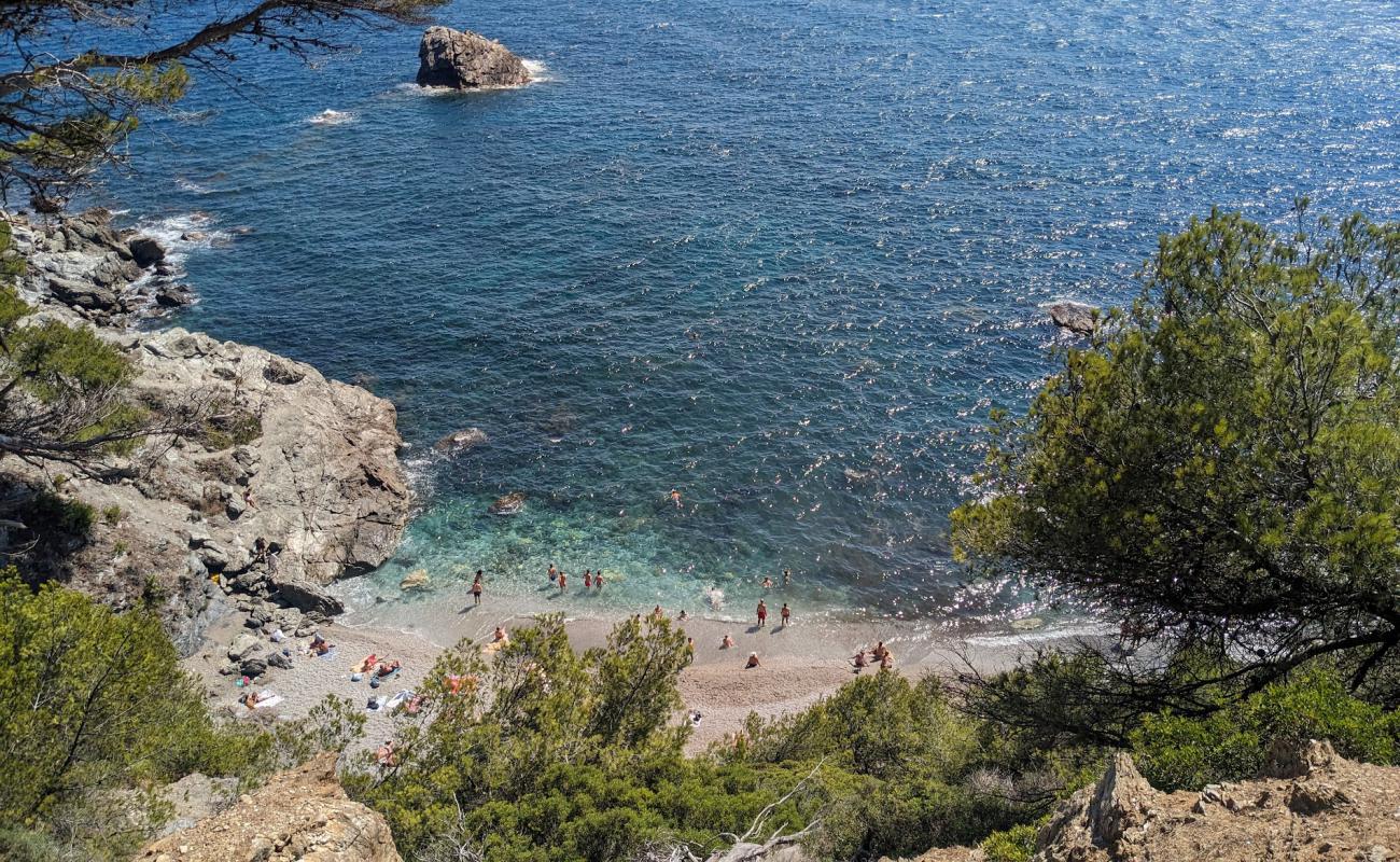 Photo de Mont Salva Beach avec petits galets gris de surface