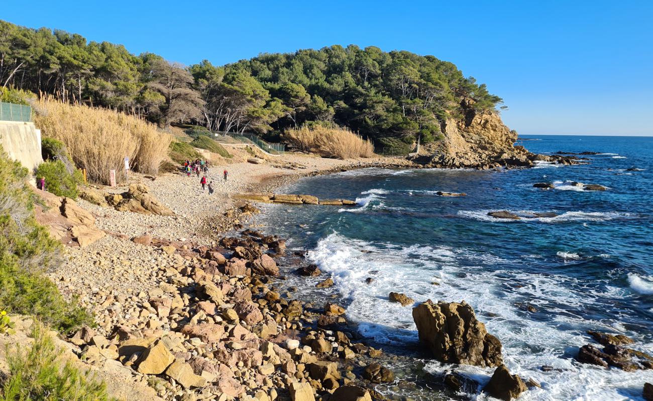 Photo de De Grave Beach avec roches de surface