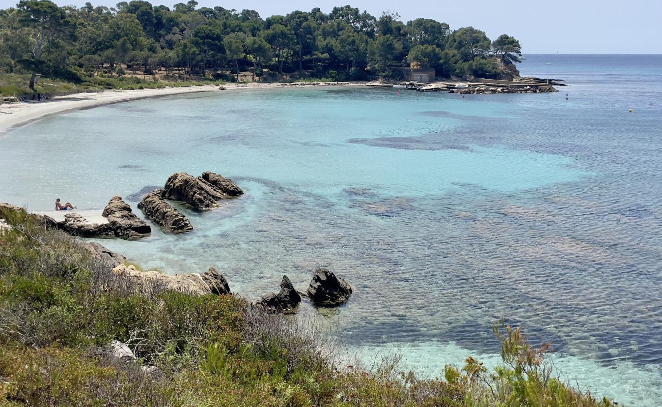 Photo de La Vignasse Beach avec sable beige de surface
