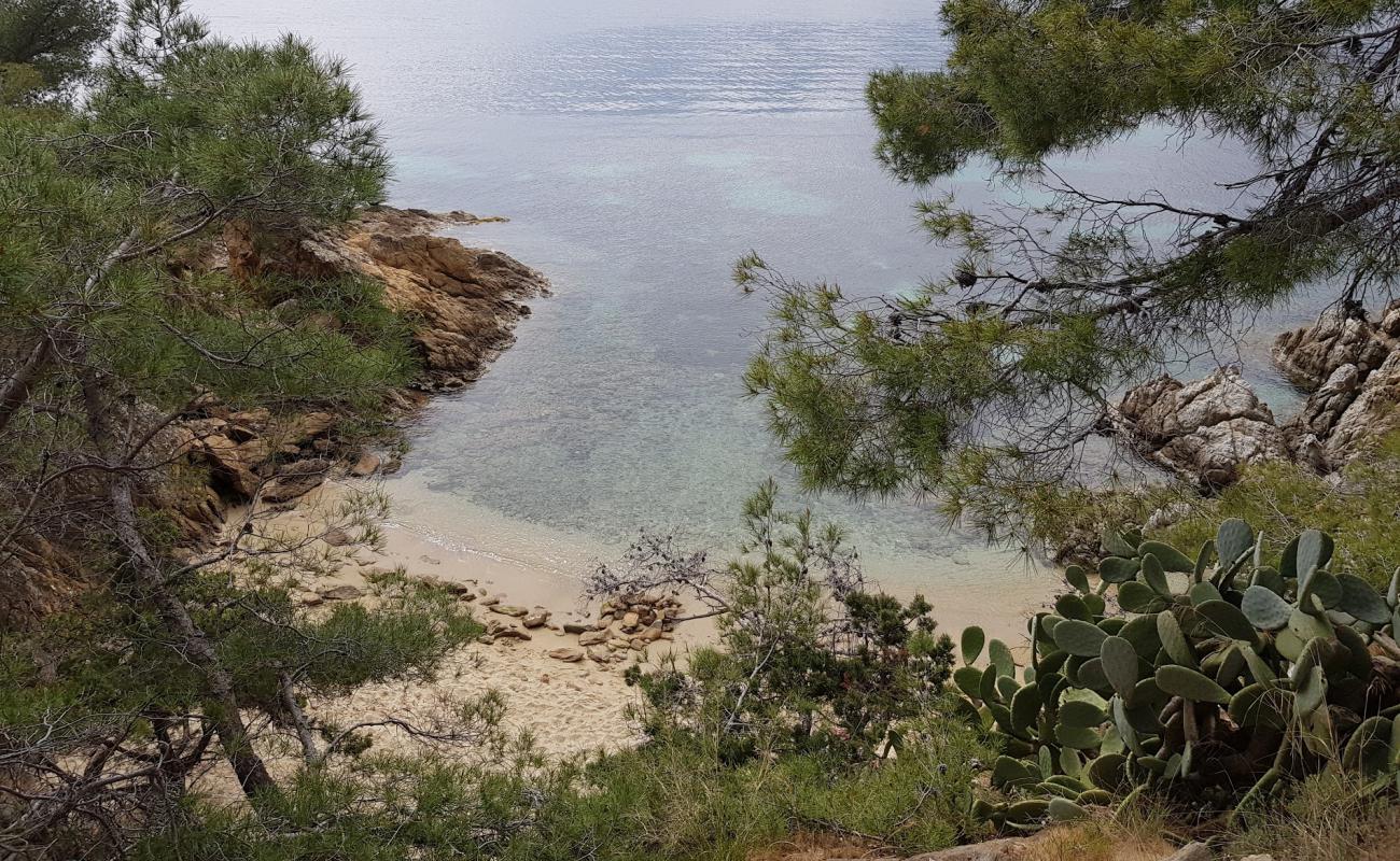 Photo de Naturiste du Rossignol Beach avec sable gris de surface