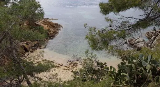 Naturiste du Rossignol Beach