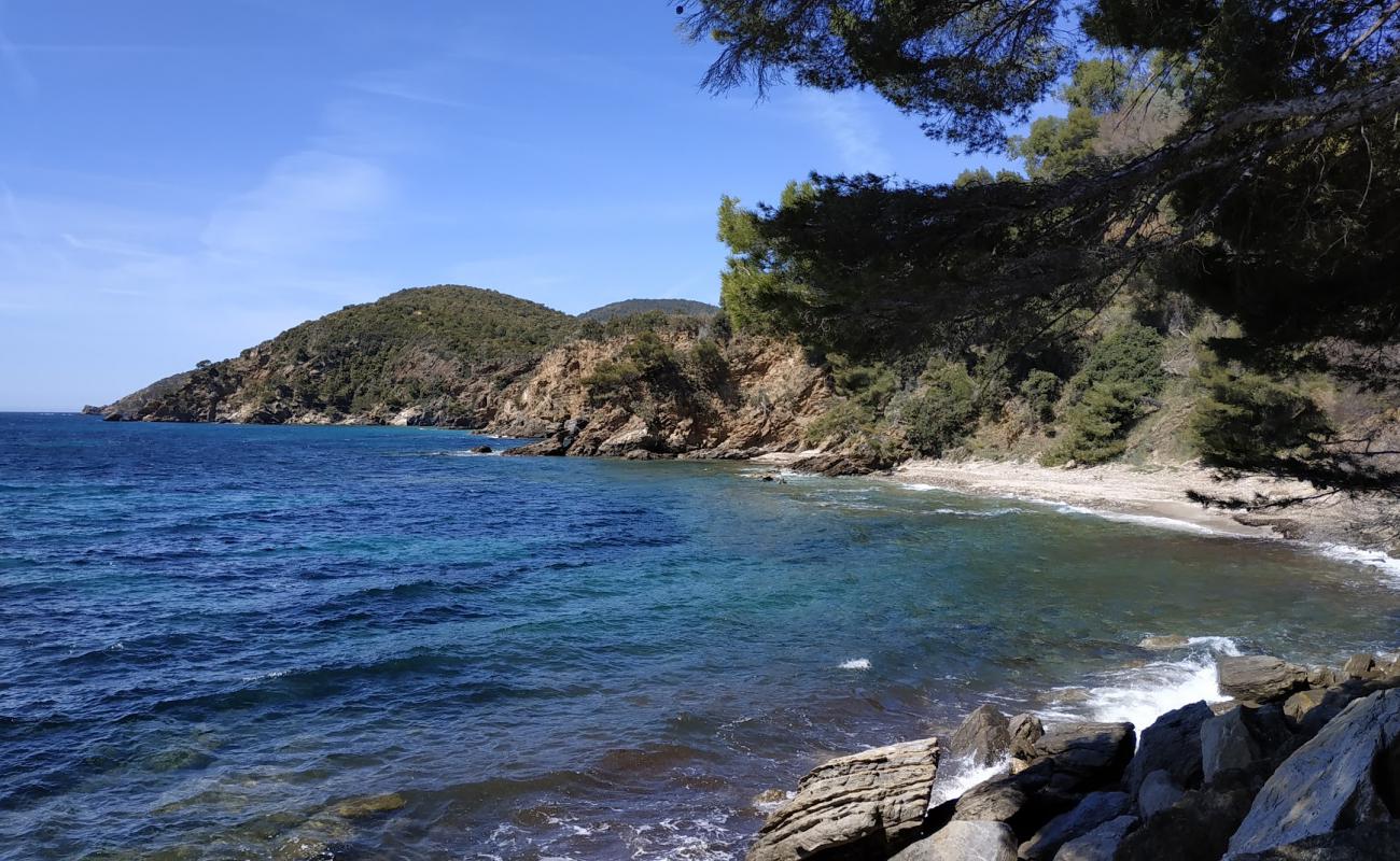 Photo de Amphores Beach avec terrain rocheux de surface