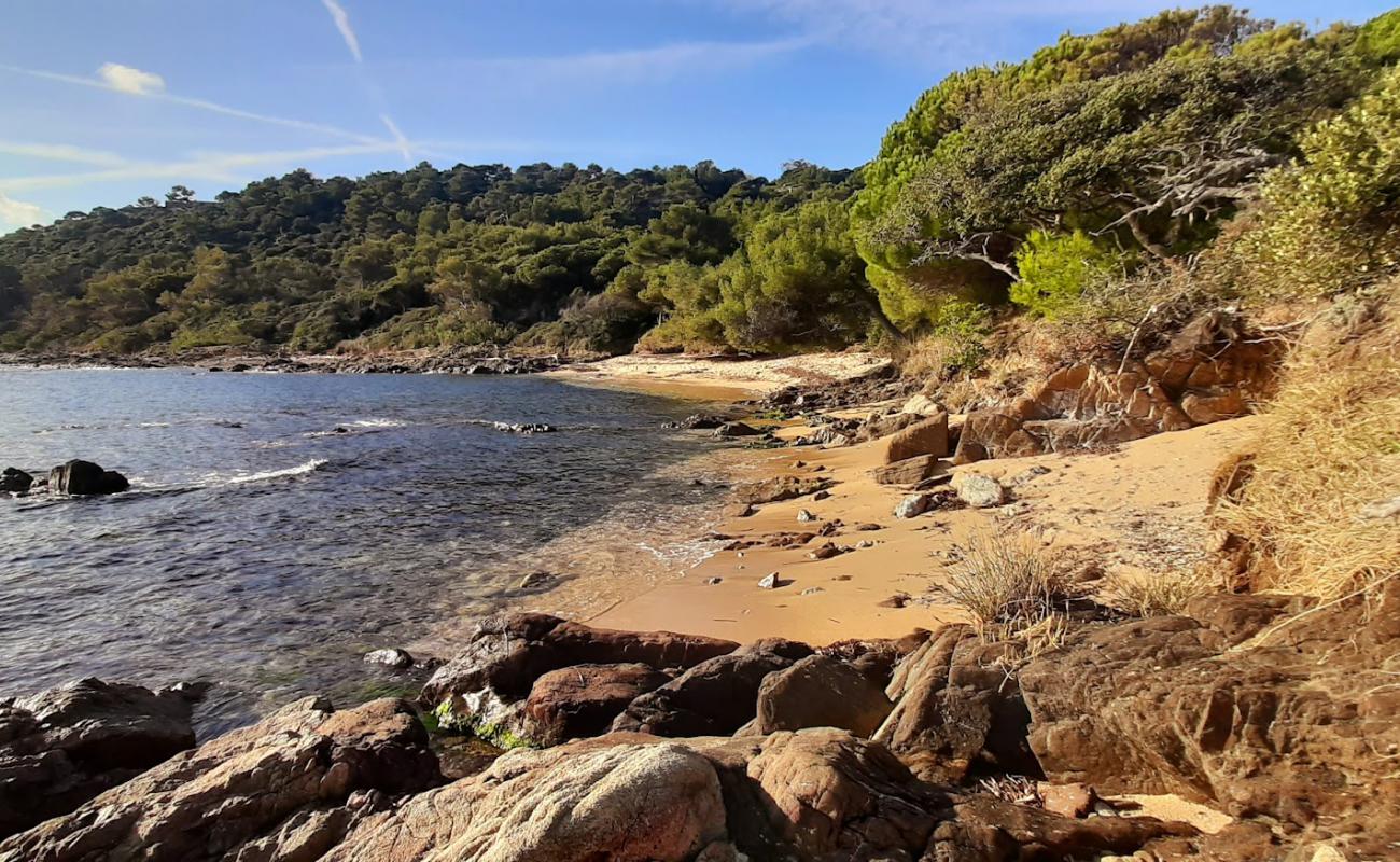 Photo de La Garrigue Beach avec sable beige de surface