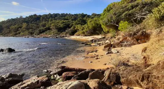 La Garrigue Beach