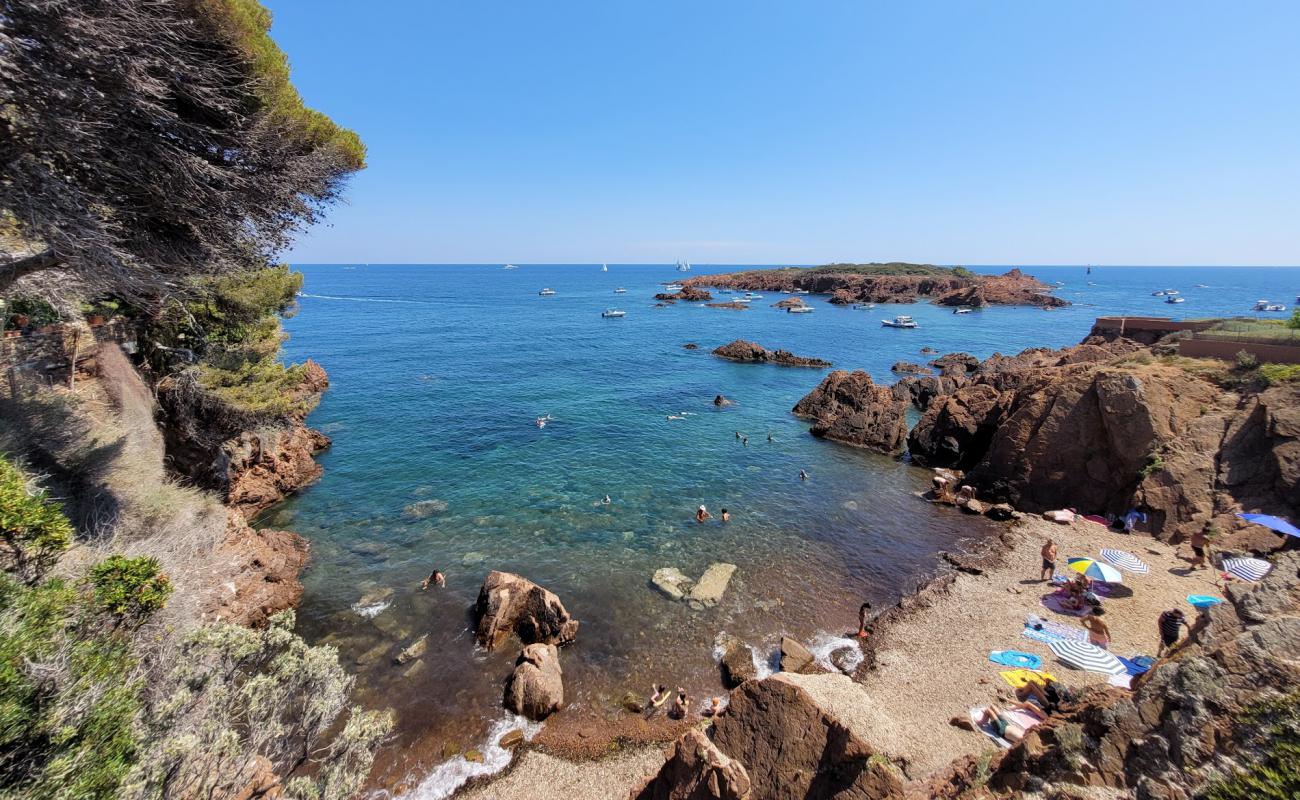 Photo de Les Roches de l'ile des Vieilles Beach avec terrain rocheux de surface