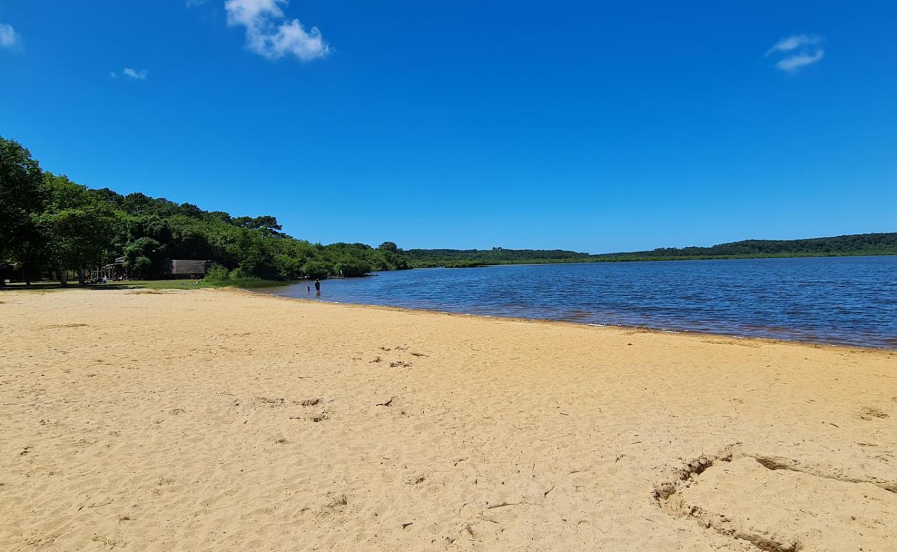 Photo de Lac de Leon Beach avec sable beige de surface