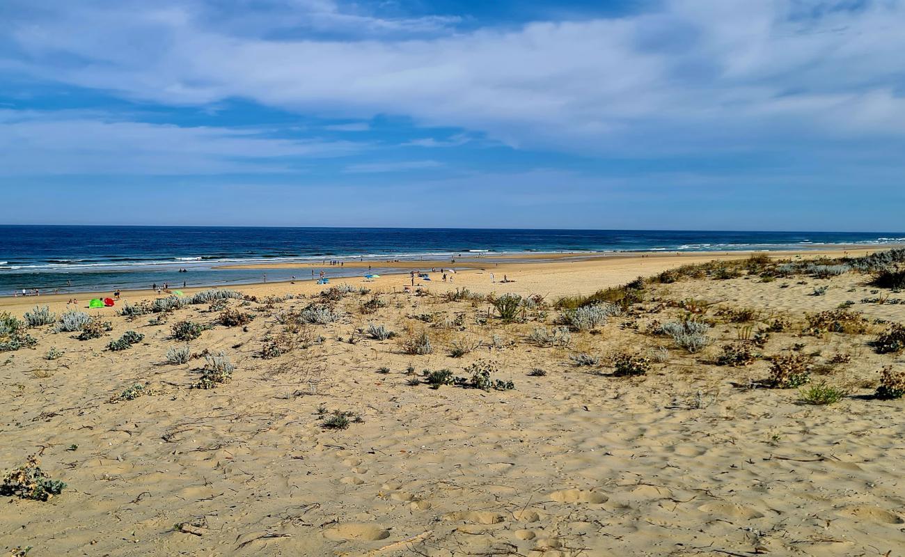 Photo de Remember Beach avec sable beige de surface