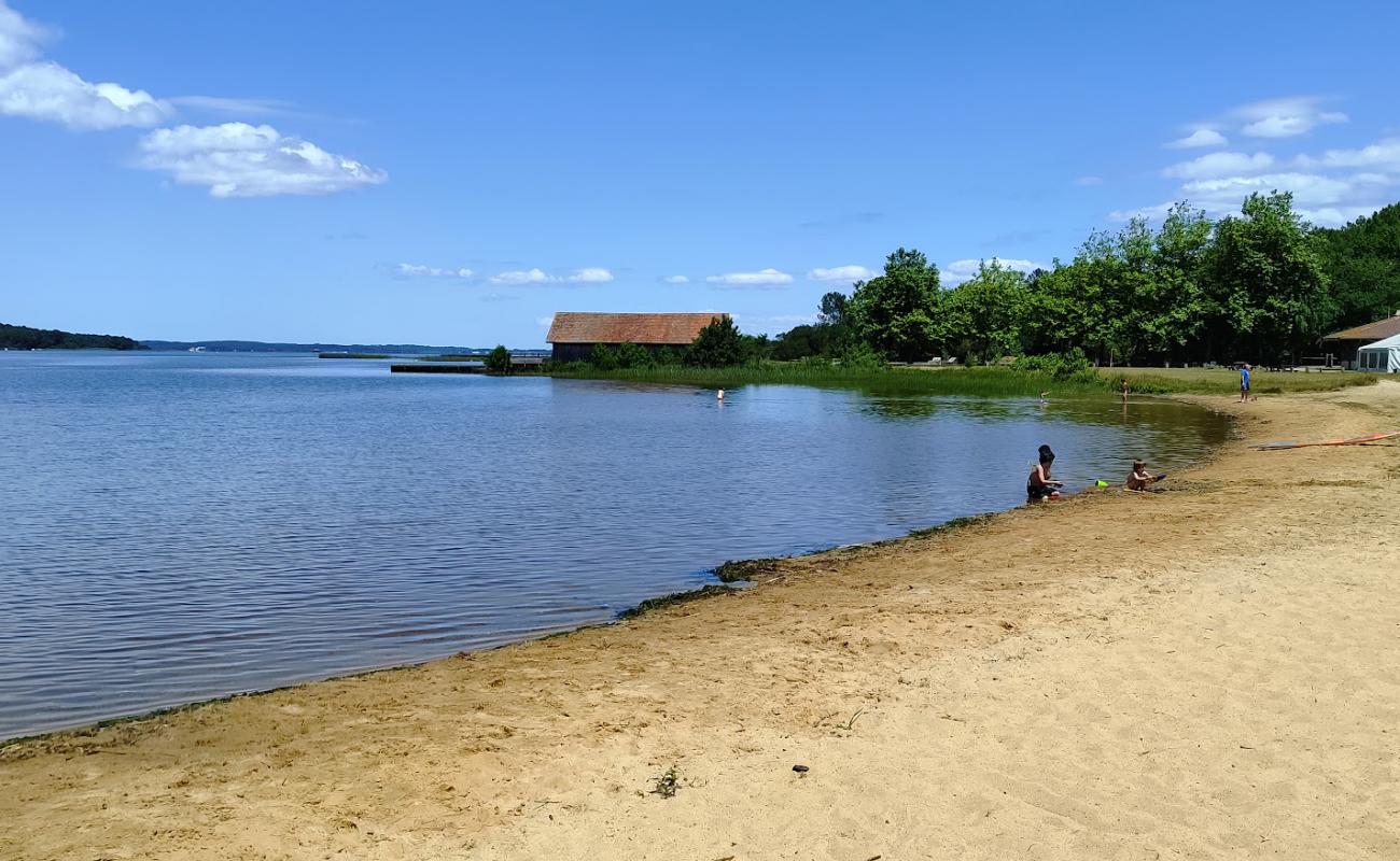 Photo de Ste Eulalie en Born Beach avec sable lumineux de surface