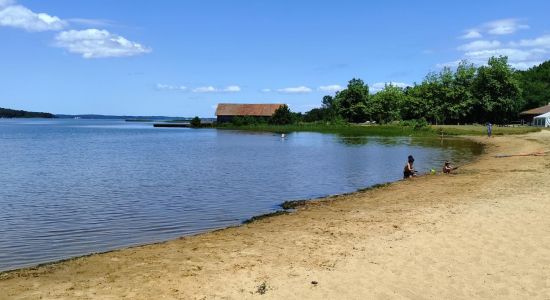 Ste Eulalie en Born Beach