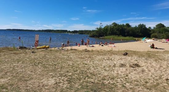 Parentis en Born Beach