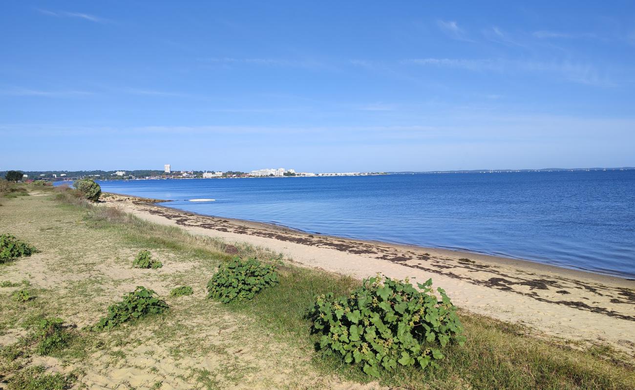 Photo de La Teste Beach avec sable beige de surface
