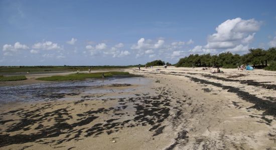 Graveyron Beach