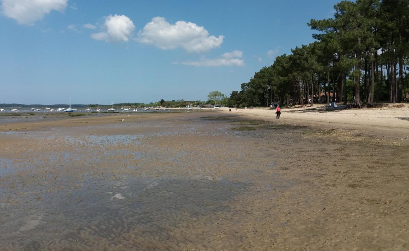 Photo de D'Ares Beach avec sable beige de surface