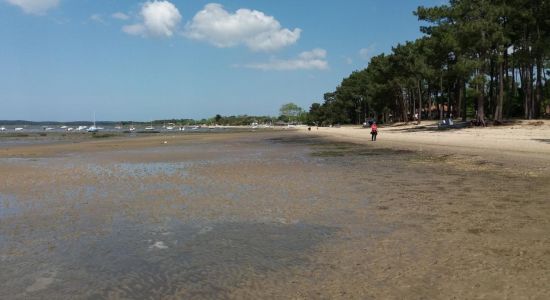 D'Ares Beach