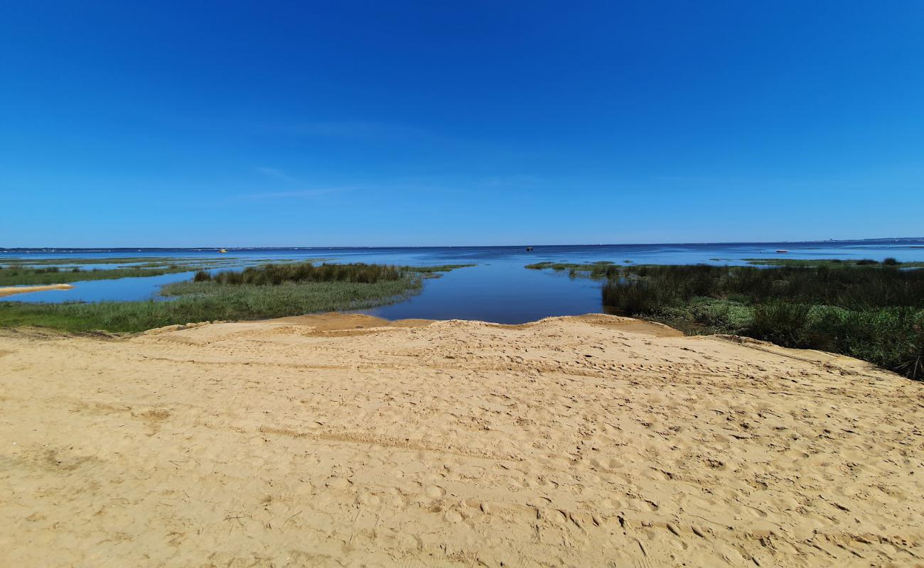 Photo de Bertic Beach avec sable beige de surface