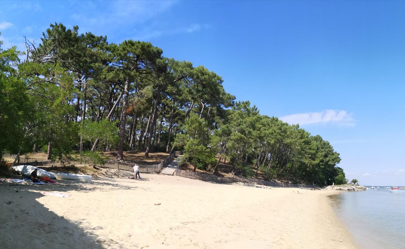 Photo de Truquette Beach avec sable lumineux de surface