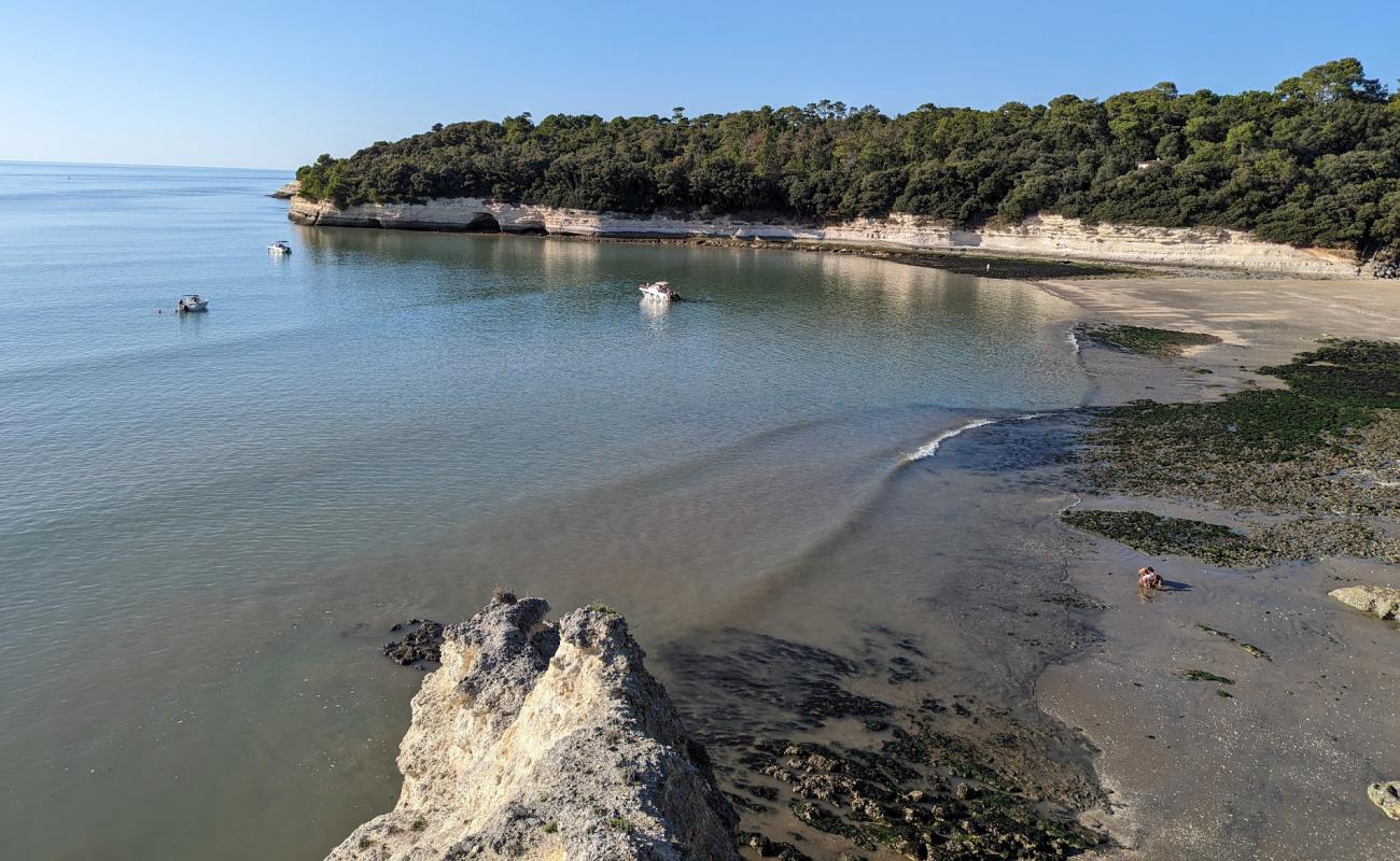 Photo de l'Arneche Beach avec sable beige de surface