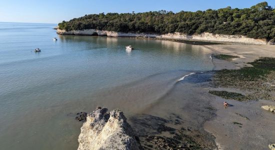 l'Arneche Beach