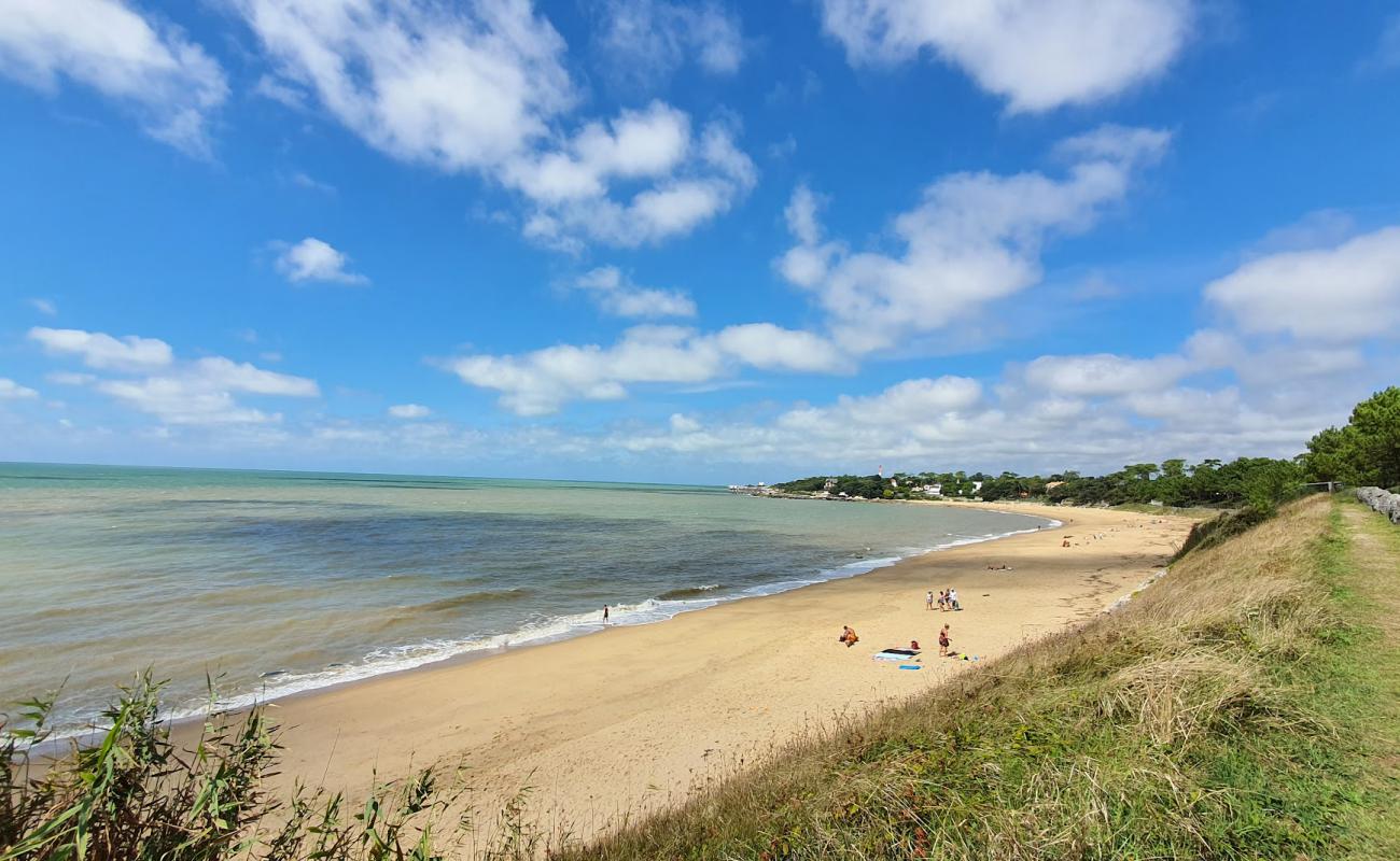 Photo de Platin Beach avec sable beige de surface
