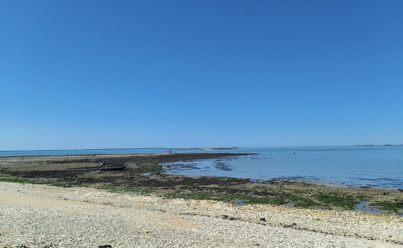 Photo de Lle Madame Beach avec galets beige de surface