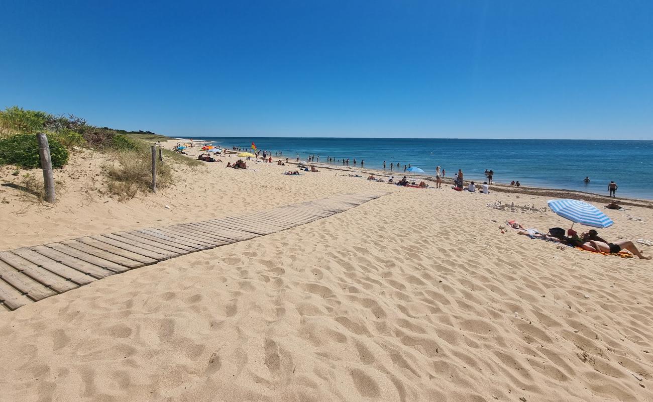 Photo de Montamer Beach avec sable brillant et rochers de surface