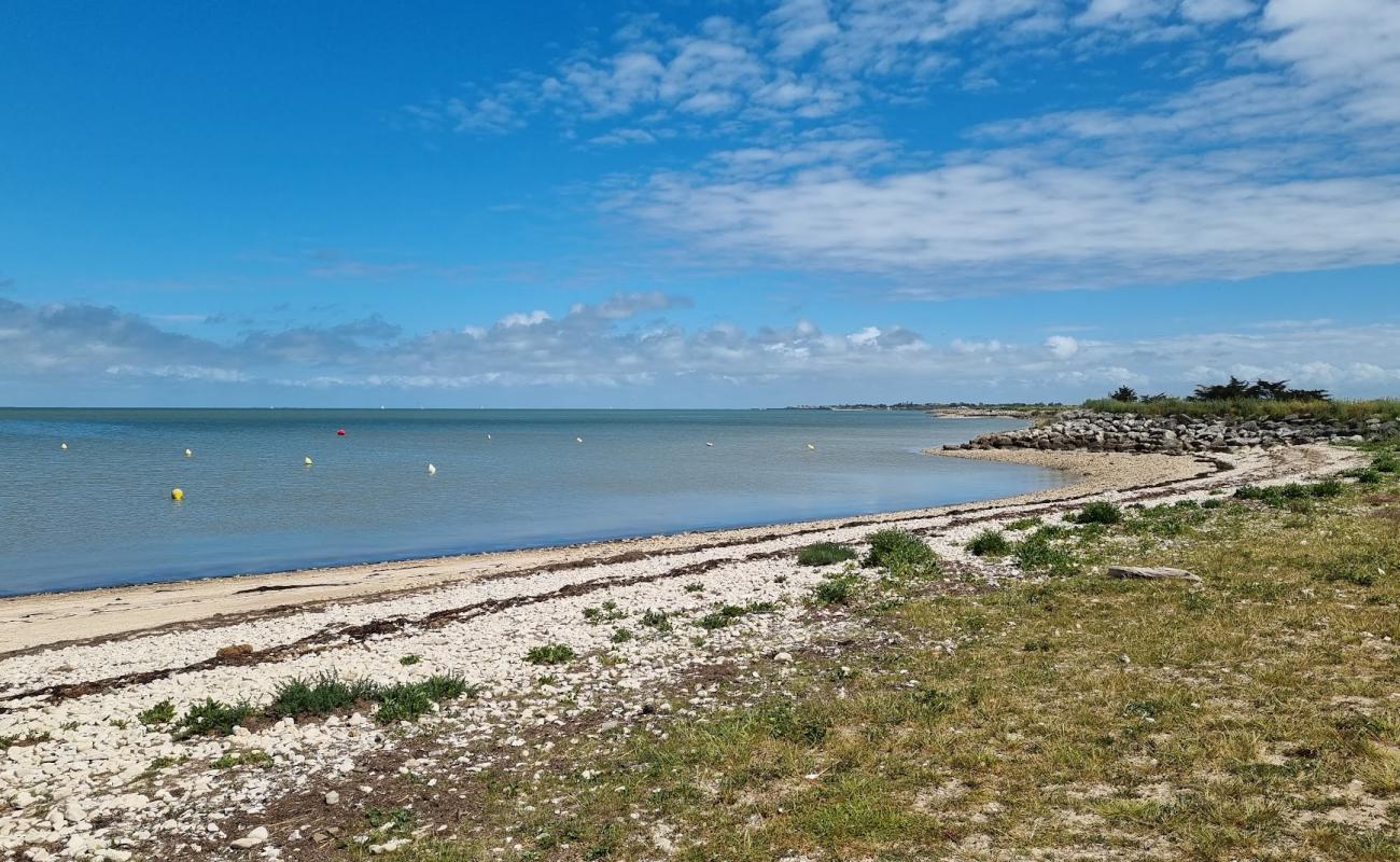 Photo de La Mer du Nord Beach avec sable beige de surface