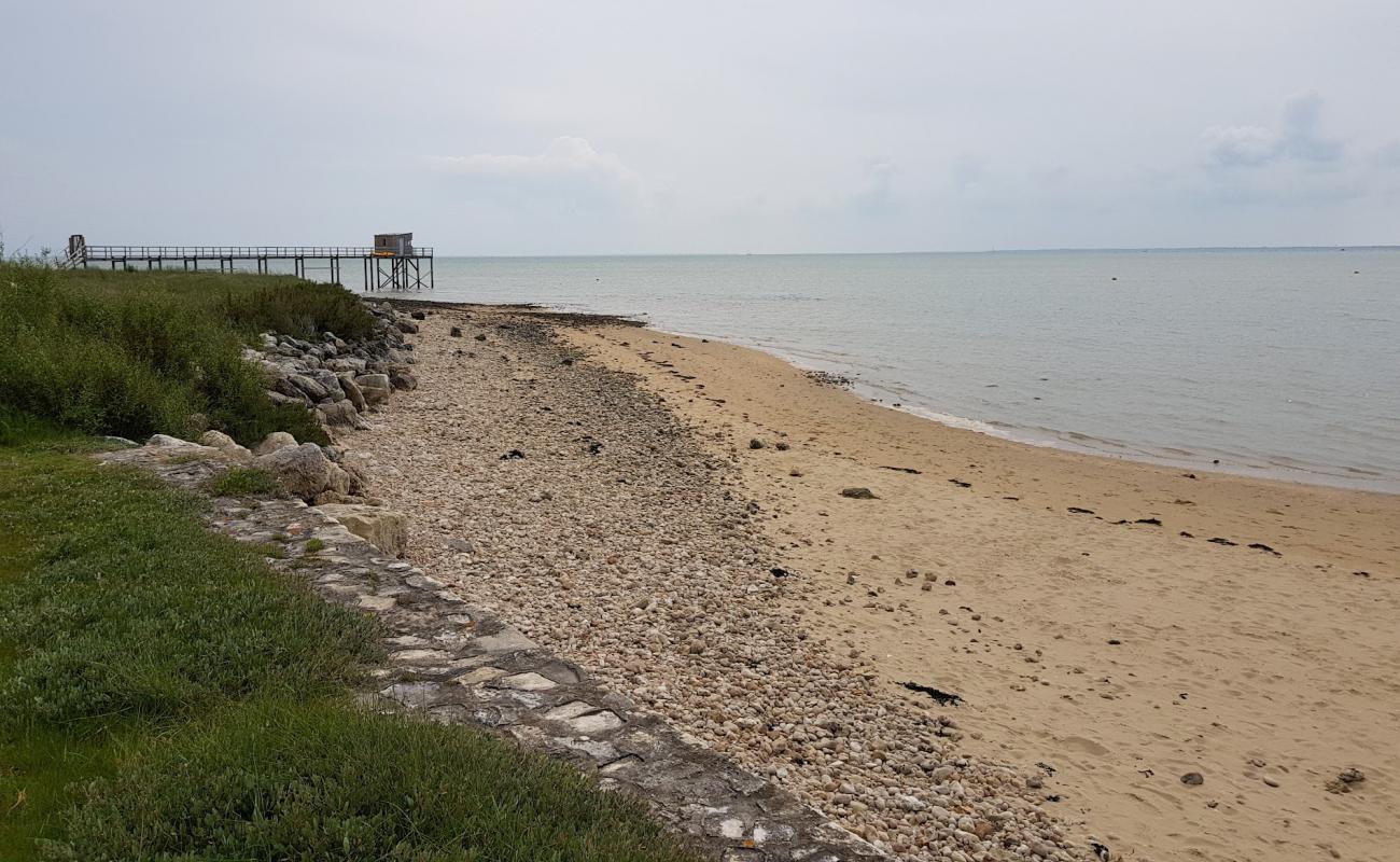Photo de Shells Beach avec sable coquillé beige de surface