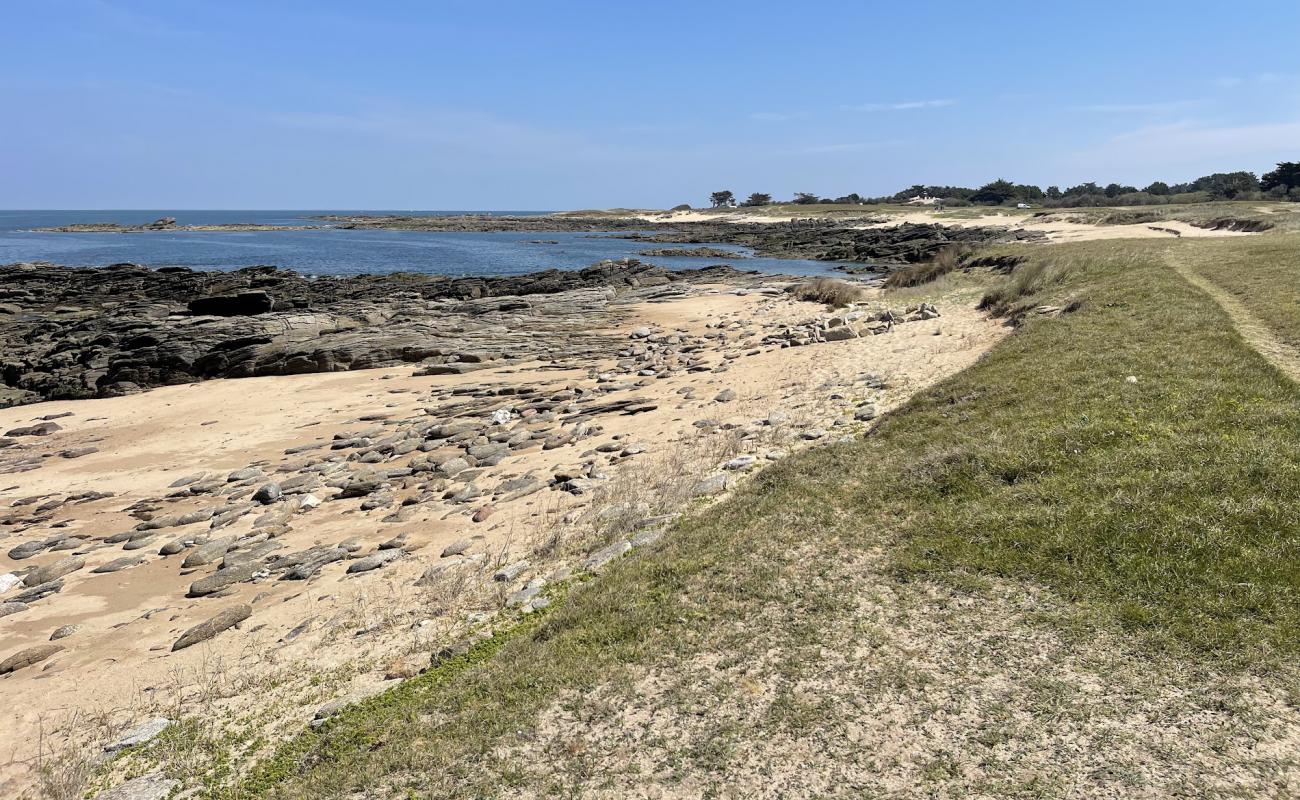 Photo de La Gournaise Beach avec sable beige de surface