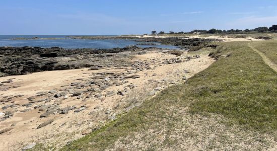 La Gournaise Beach