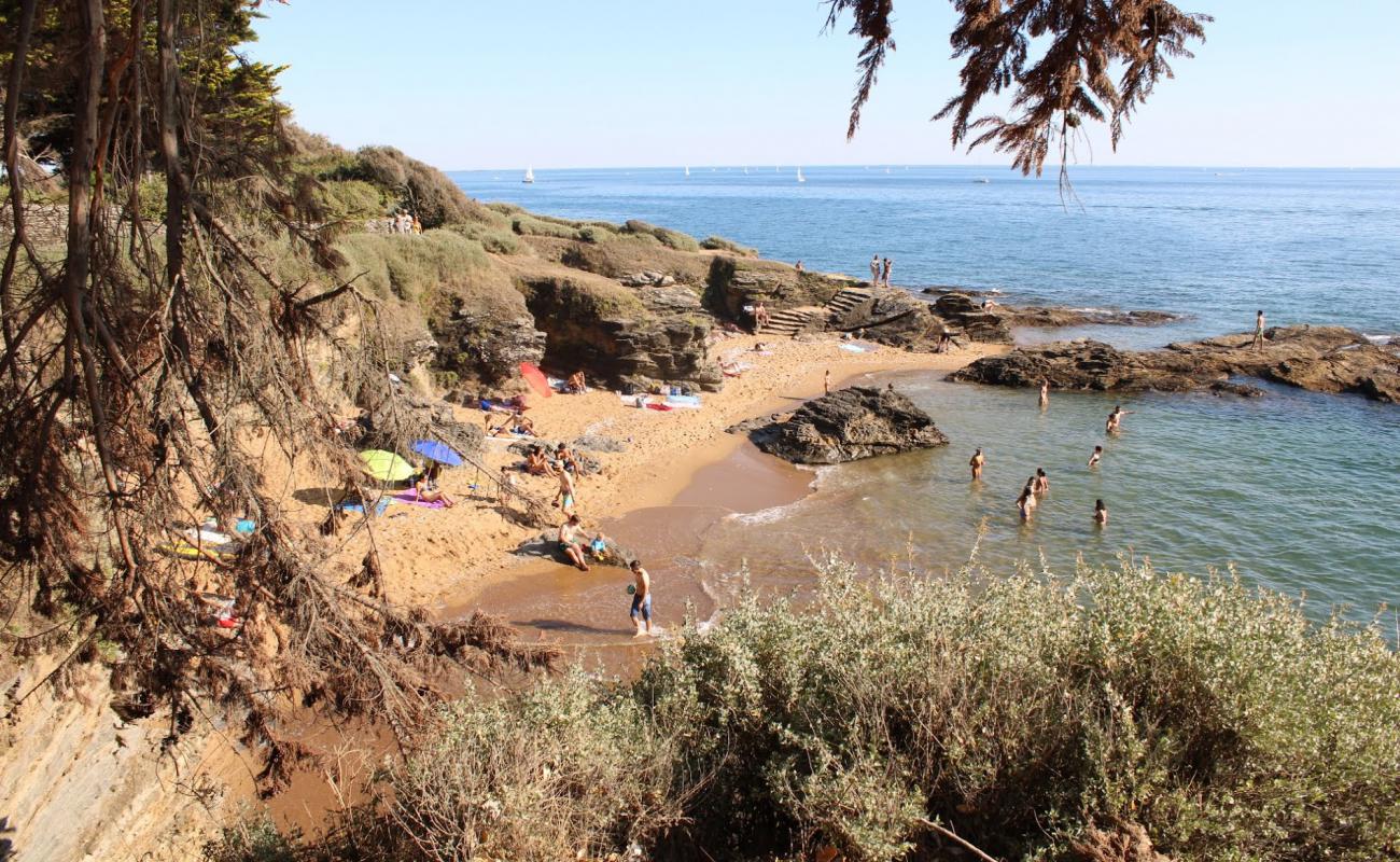 Photo de Grandes Vallees Beach avec sable beige de surface