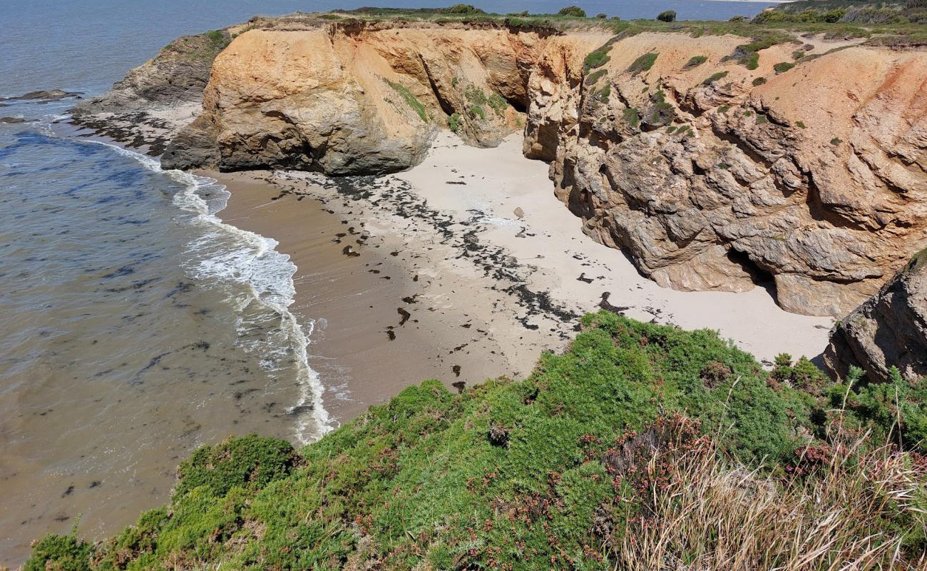 Photo de La Marche Aux Boeufs Beach avec sable lumineux de surface