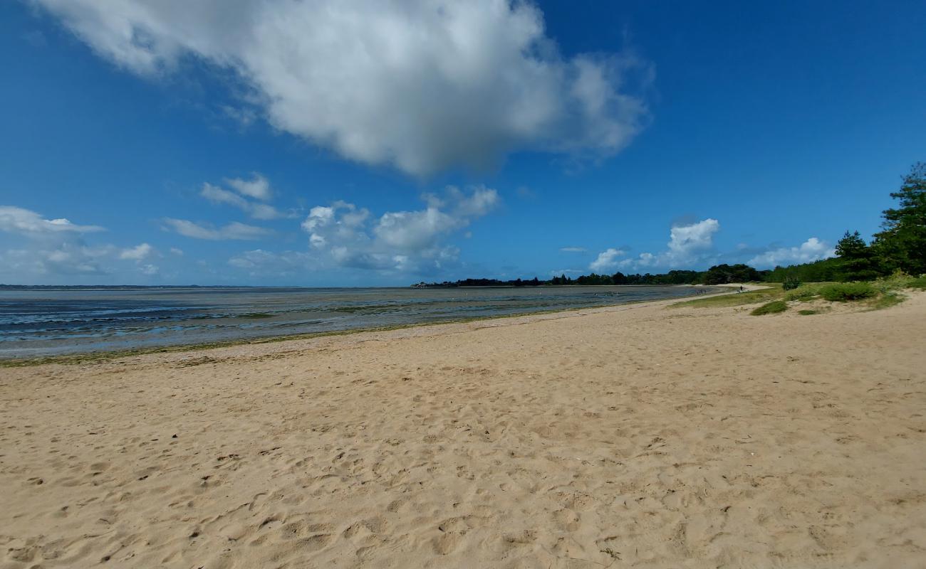 Photo de Palandrin Beach avec sable beige de surface