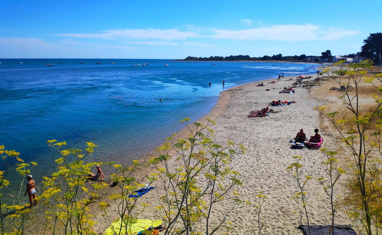 Photo de Banastere Beach avec sable beige de surface