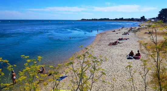 Banastere Beach