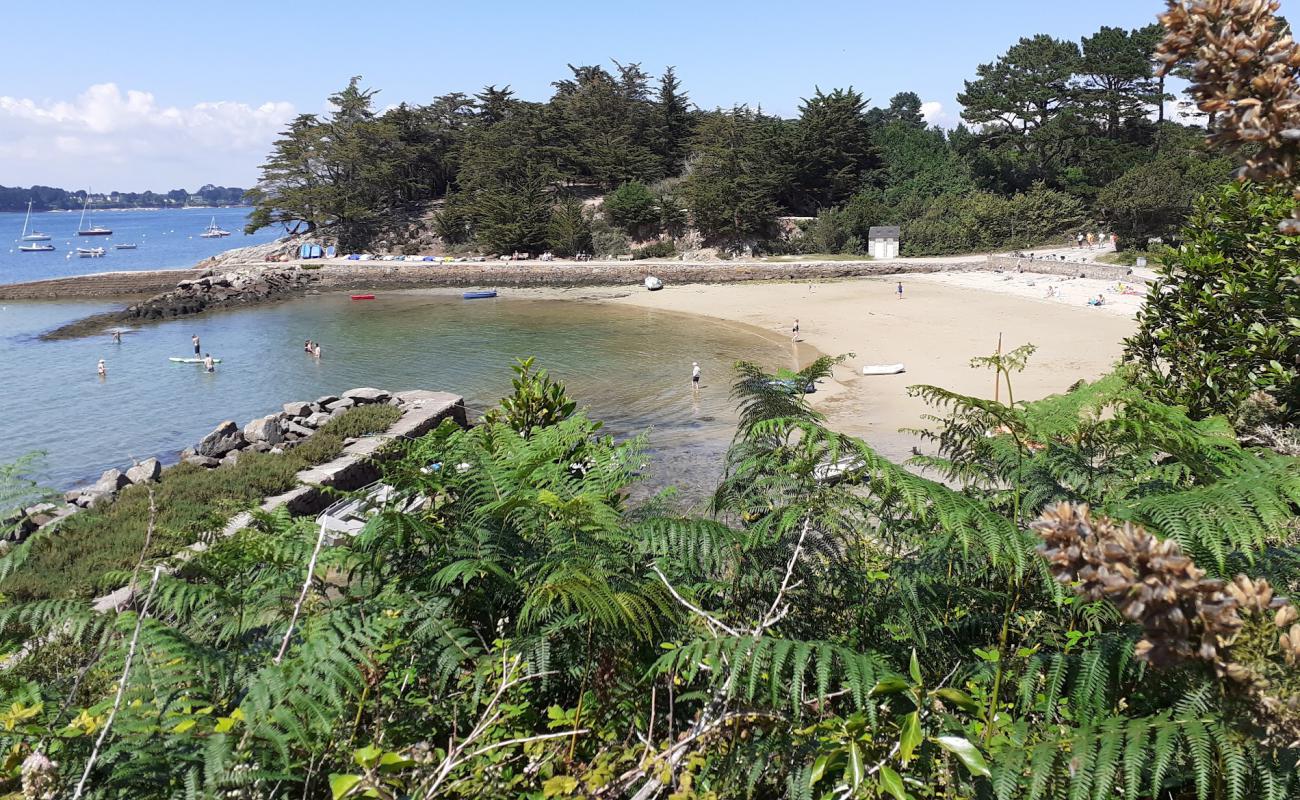 Photo de Gored Beach avec sable lumineux de surface