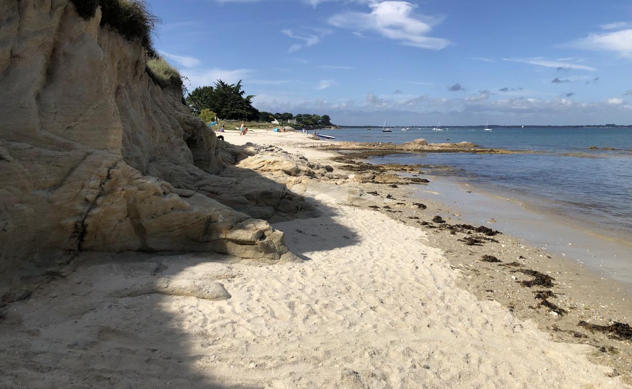 Photo de Lizeau Beach avec sable beige de surface