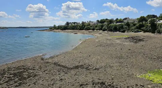 Roscanvel Beach