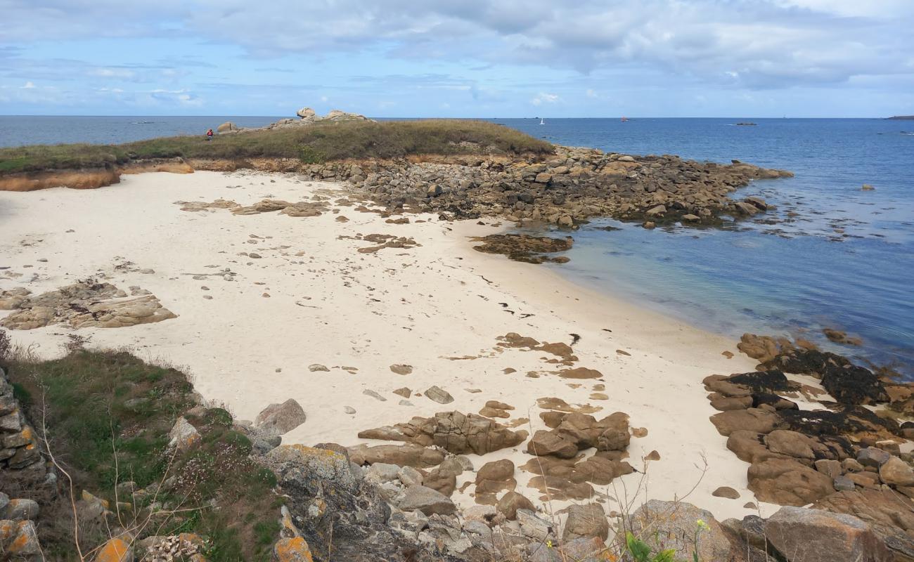Photo de Pors Goret Beach avec sable beige de surface