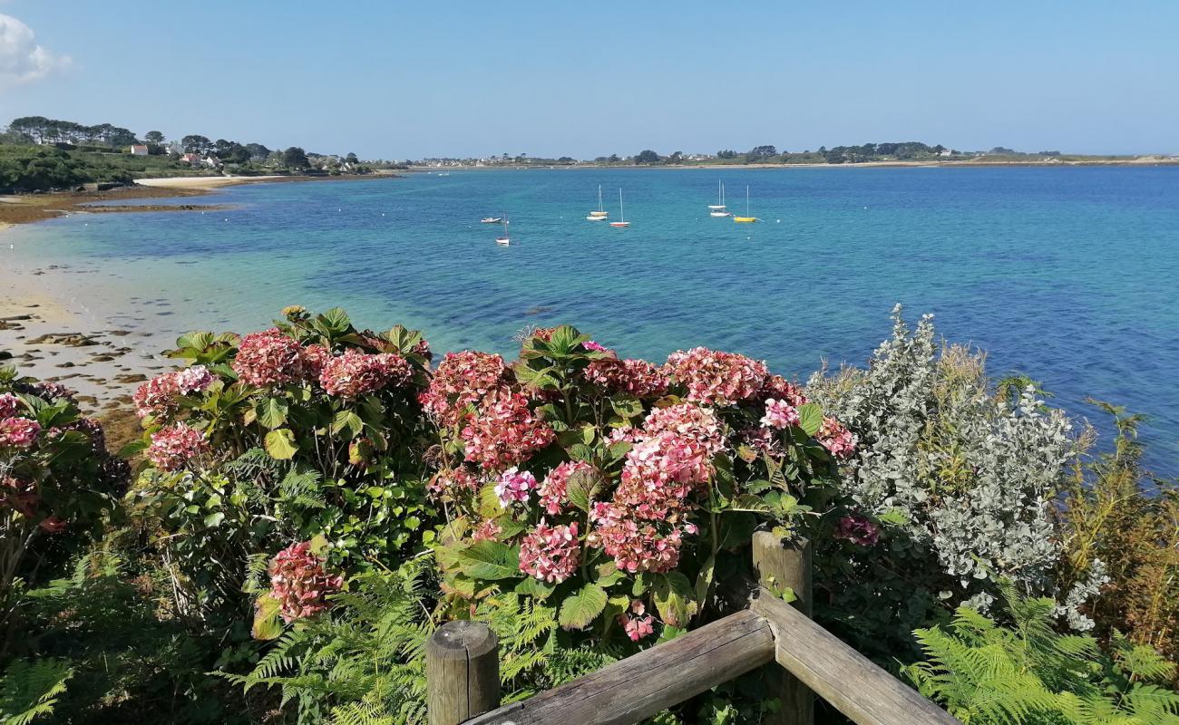 Photo de Anges Beach avec sable beige de surface