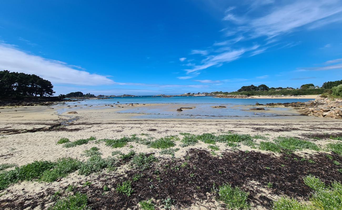 Photo de Grannec Beach avec sable beige de surface