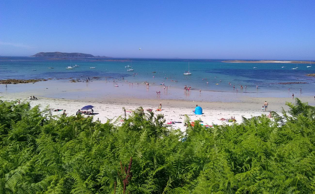 Photo de Keriec Beach avec sable beige de surface