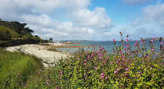 Port le Goff Beach