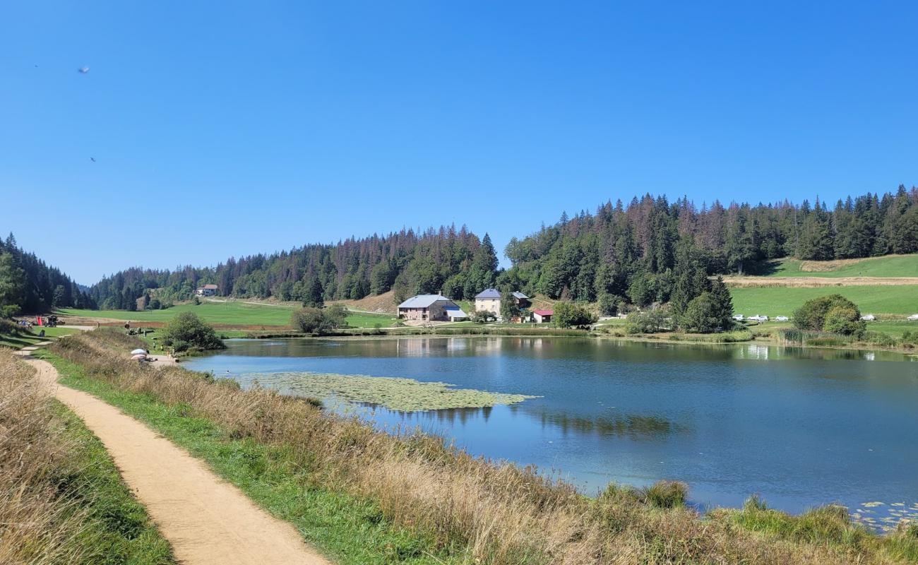 Photo de Lamoura Lake Beach avec herbe de surface