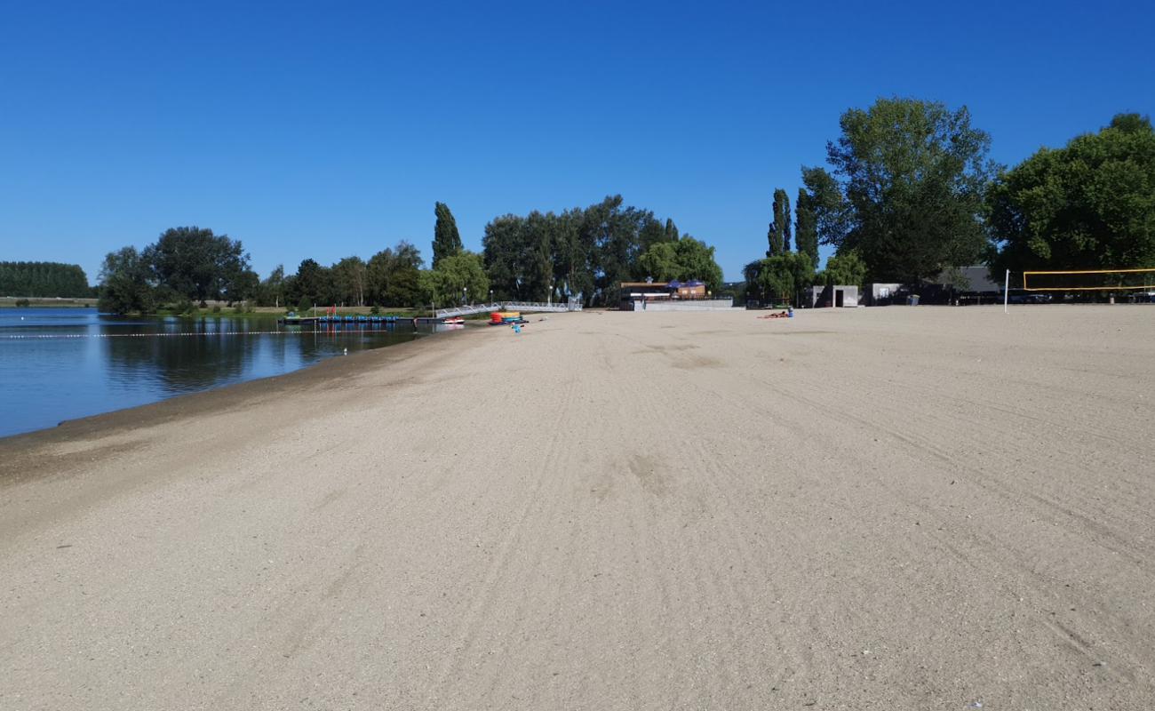 Photo de Lac de Pont-l'Eveque Beach avec sable beige de surface