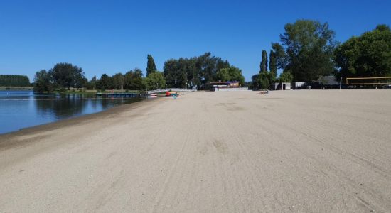 Lac de Pont-l'Eveque Beach