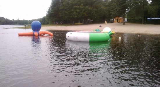 Lac de Feyt Beach